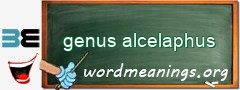 WordMeaning blackboard for genus alcelaphus